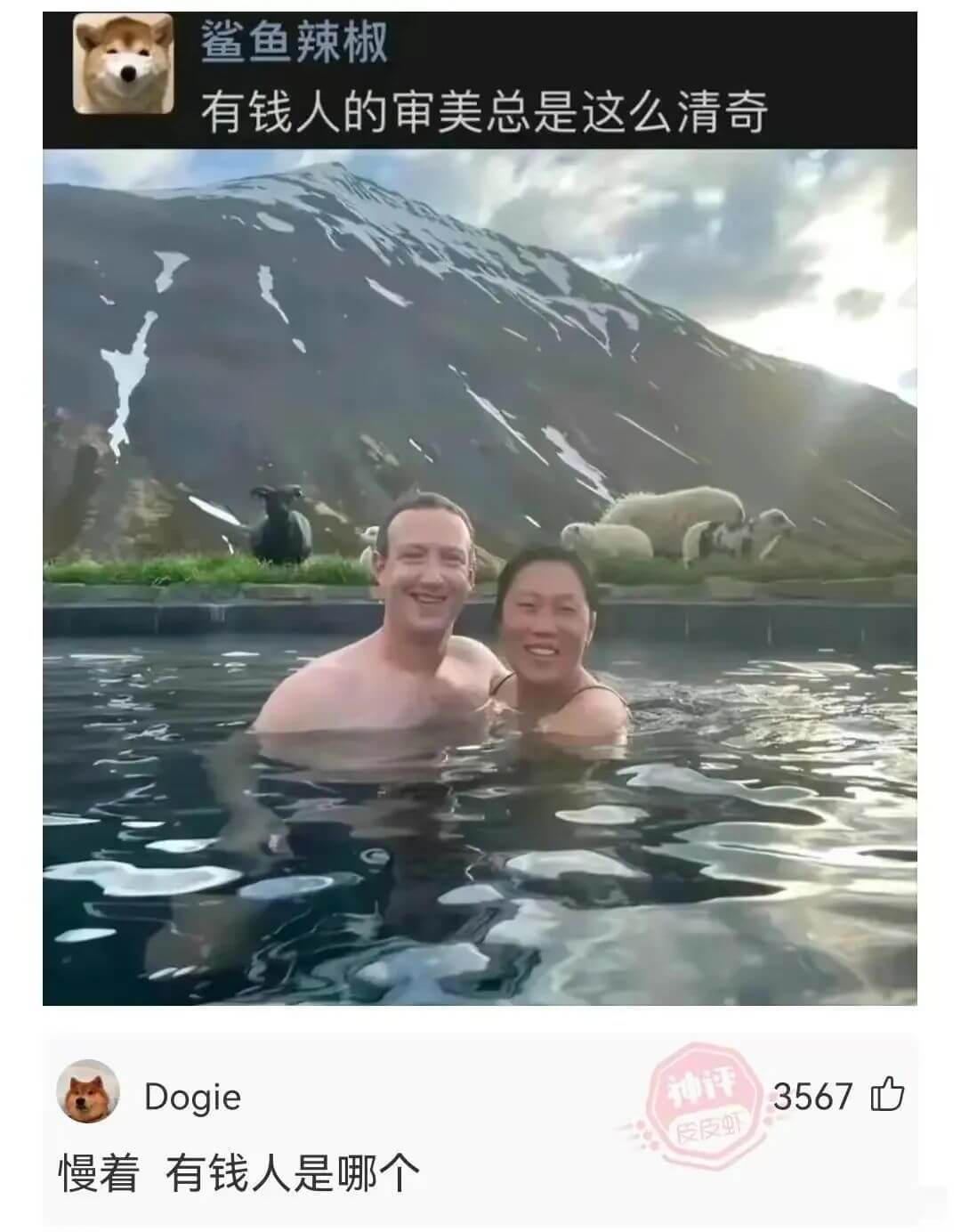 鲨鱼辣椒有钱人的审美总是这么清奇Dogie3567慢着有钱人