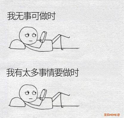 我无事可做时我有太多事情要做时王狐MEME译