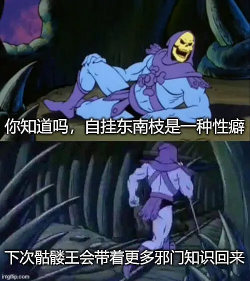 你知道吗，自挂东南枝是一种性癖。下次王会带着更多邪门知识回来