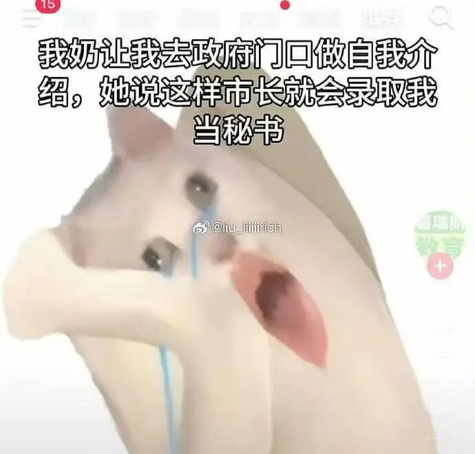 我奶让我去政府门口做自我介绍，她说这样市长就会录取我当秘书。