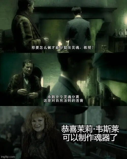 “那要怎么做才能分裂出灵魂，教授？”“杀戮会令灵魂分离。这是