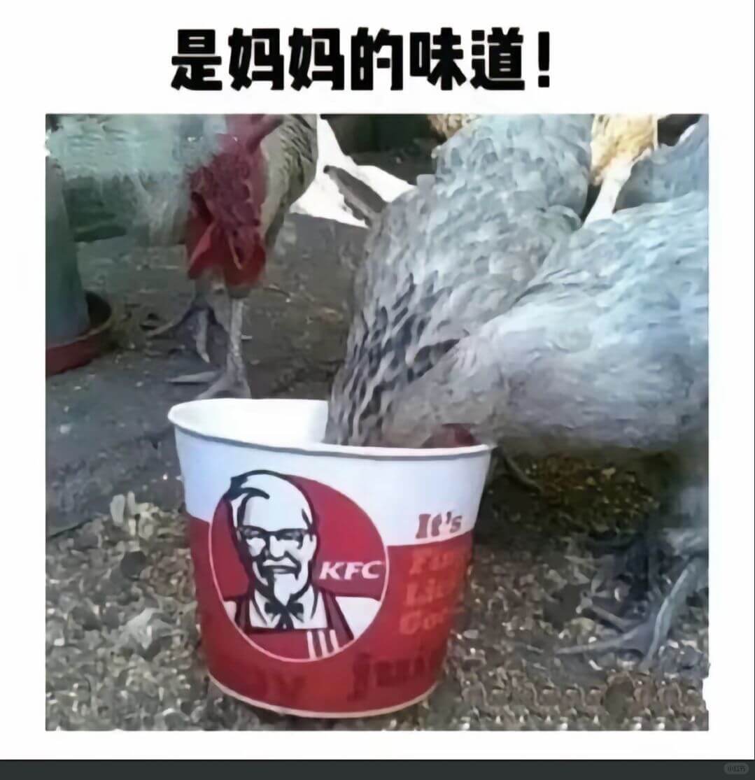 是妈妈的味道！IrsKFC