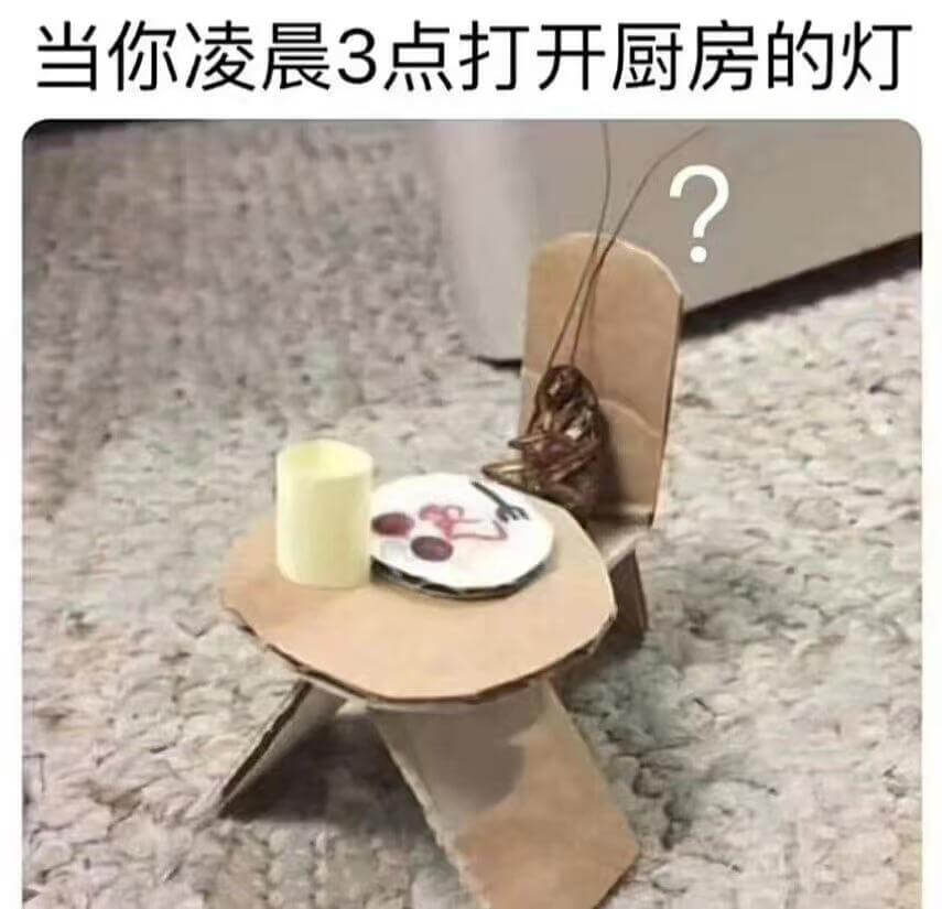 当你凌晨3点打开厨房的灯