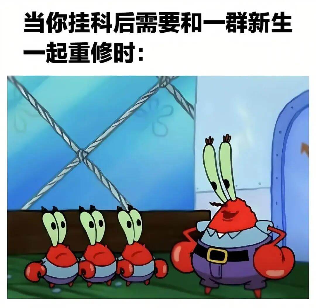 当你挂科后需要和一群新生一起重修时：