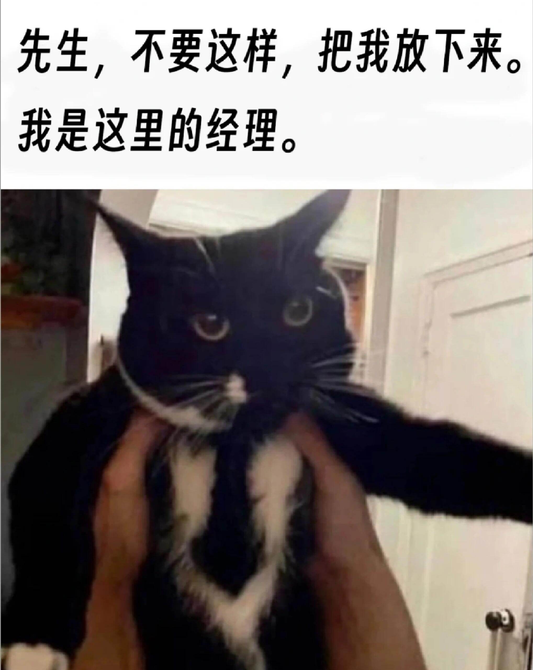 先生，不要这样，把我放下来。我是这里的经理。