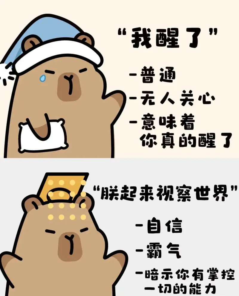 我醒了。——普通——无人关心——意味着你真的醒了。“朕起来视