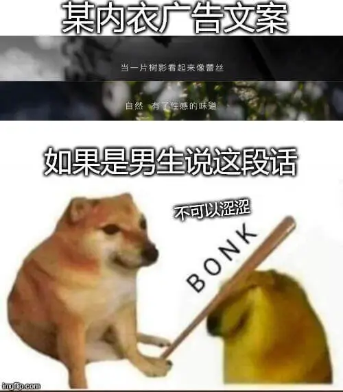 某内衣广告文案当片树影着起来像丝绸自然性感的味道如果是男生说