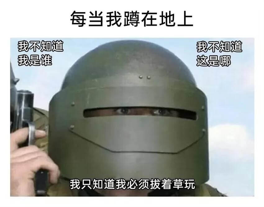 每当我在地上我不知道我不知道我是谁这是哪我只知道我必须拔着草