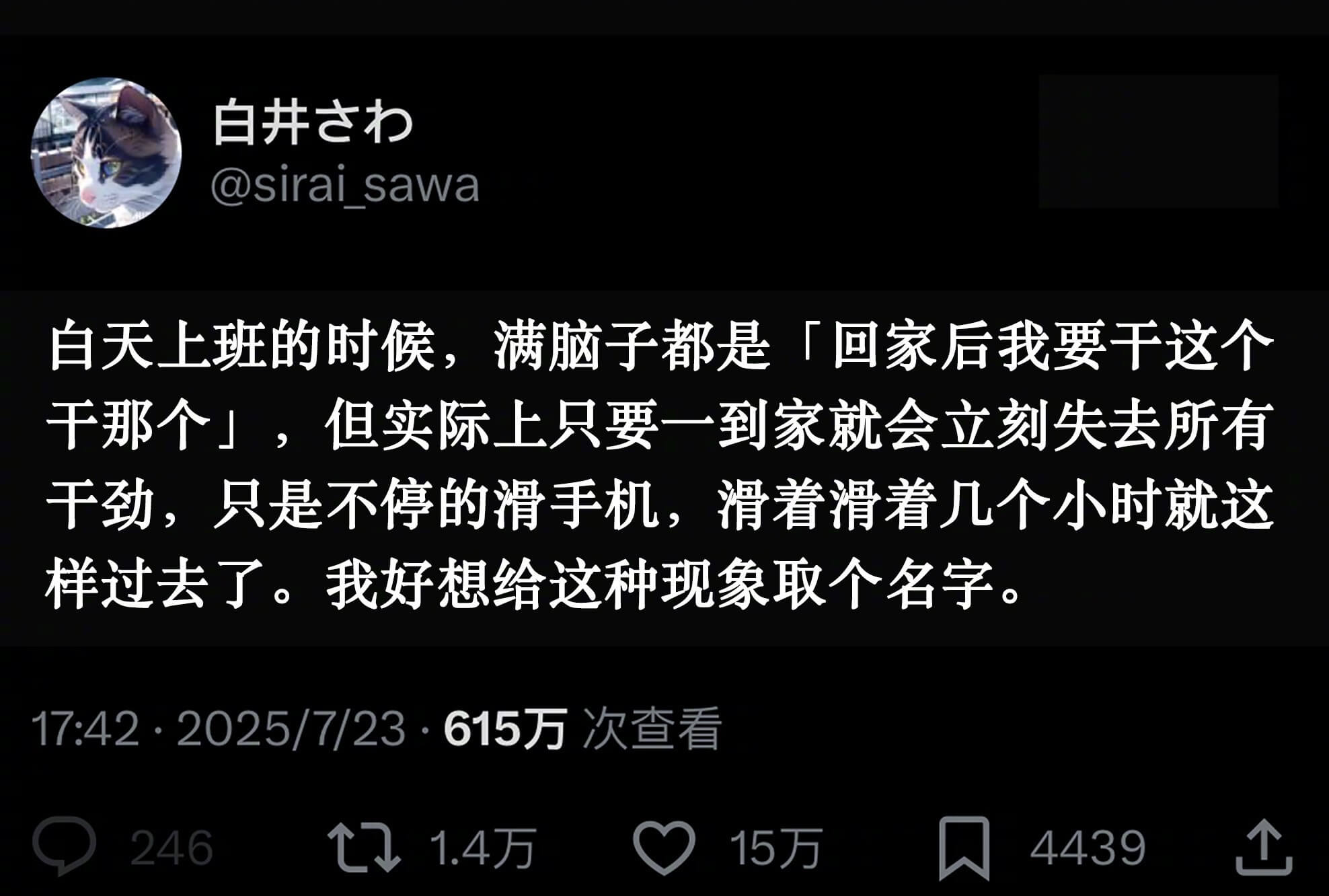 白井打@siraisawa白天上班的时候，满脑子都是「回家后