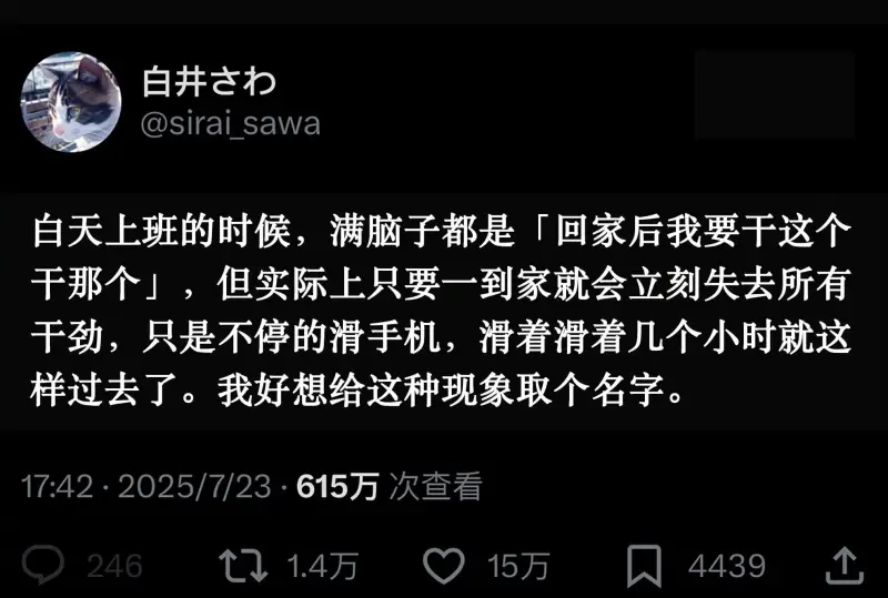 白井打@siraisawa白天上班的时候，满脑子都是「回家后