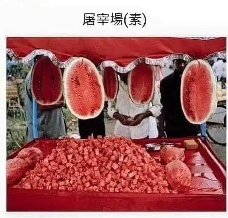 屠宰場(素)