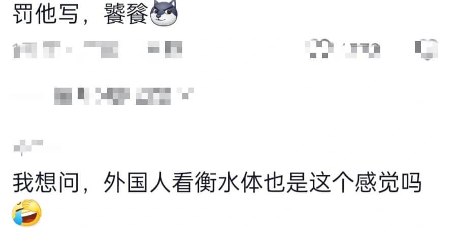 我想问,外国人看衡水体也是这个感觉吗