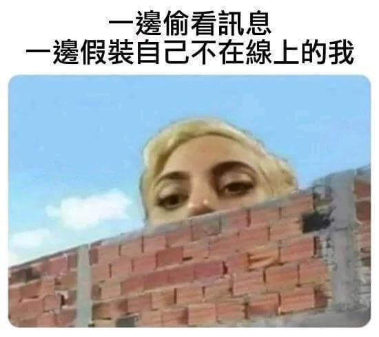 一遗偷看息一假装自己不在线上的我