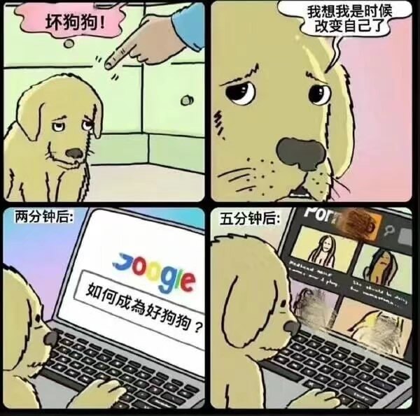 坏狗狗！两分钟后：我想我是时候改变自己了。五分钟后：