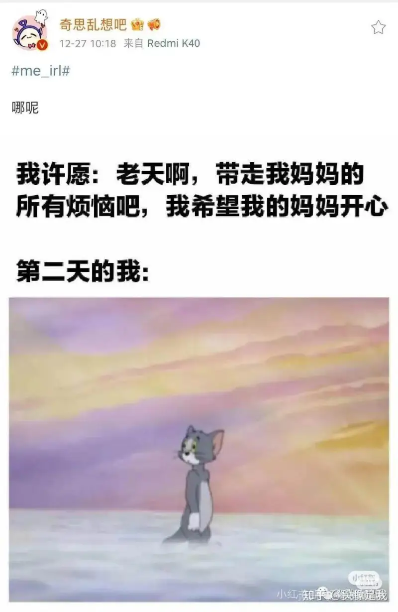me_irl哪呢我许愿:老天啊，带走我妈妈的所有烦恼吧，我希