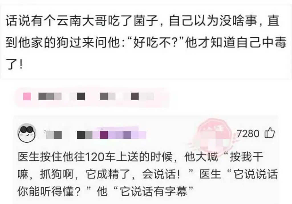 话说有个云南大哥吃了菌子，自己以为没啥事，直到他家的狗过来问