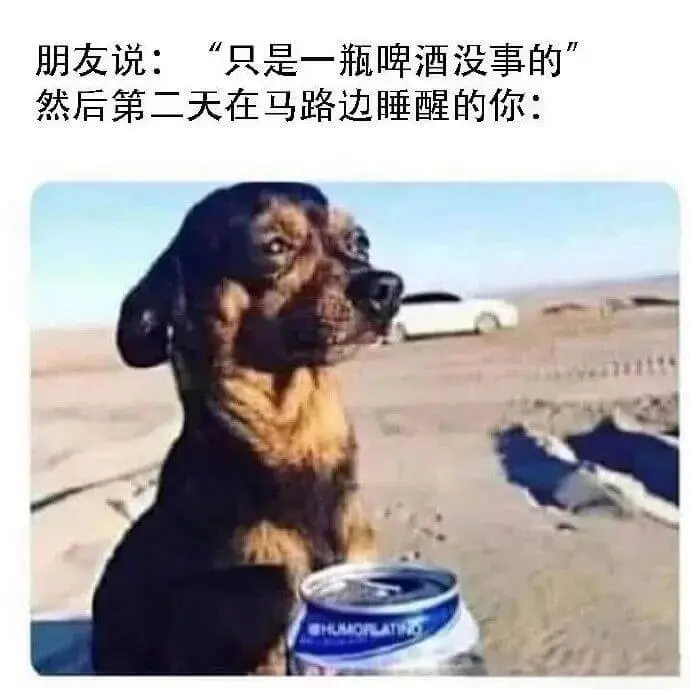 朋友说：“只是一瓶啤酒，没事的。”然后第二天在马路边睡醒的你