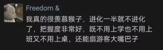 Freedom&我真的很羡慕猴子，进化半就不进化了，把握度非