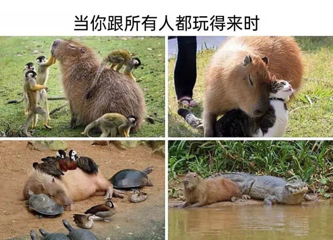 当你跟所有人都玩得来时