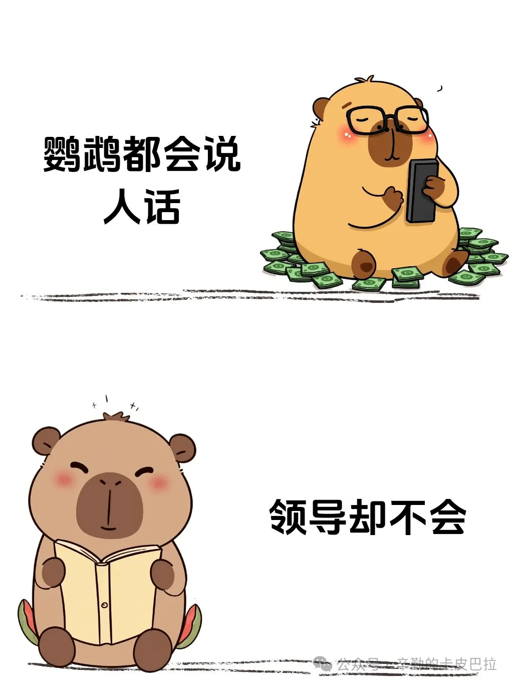 鹦鹉都会说人话领导却不会。