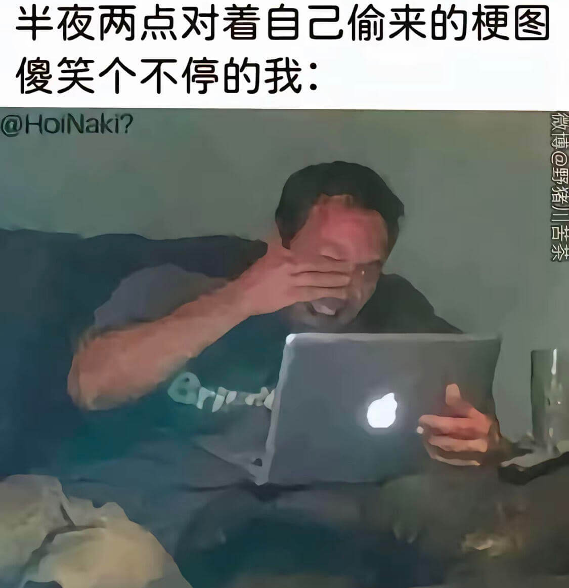 半夜两点对看自己偷来的梗图傻笑个不停的我：@HoiNaki?