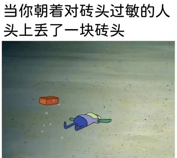当你朝着对砖头过敏的人头上丢了一块砖头