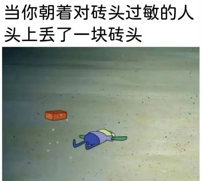 当你朝着对砖头过敏的人头上丢了一块砖头