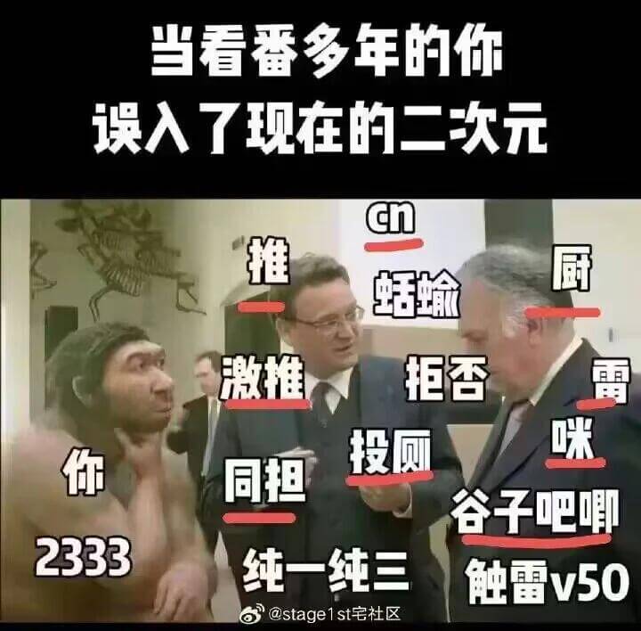 当看番多年的你误入了现在的二次元Cn推厨激推拒香雷咪投厕你同