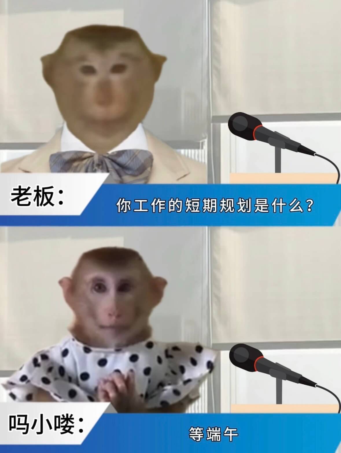老板：你工作的短期规划是什么？吗小喽等端午