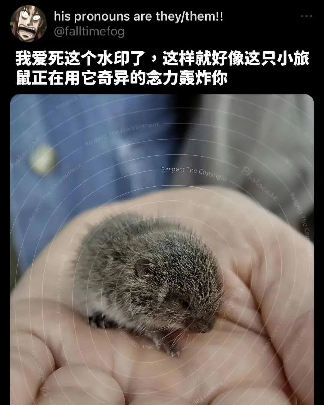 hispronounsarethey/them!!@fall