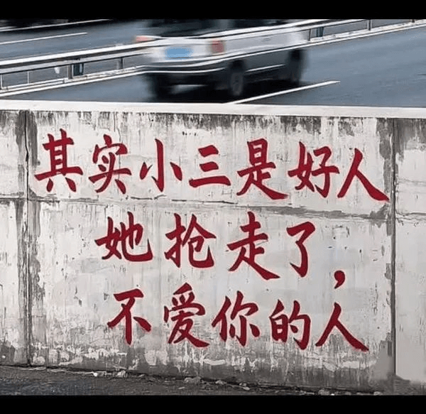 其实小三是好人她抢走了不爱你的人