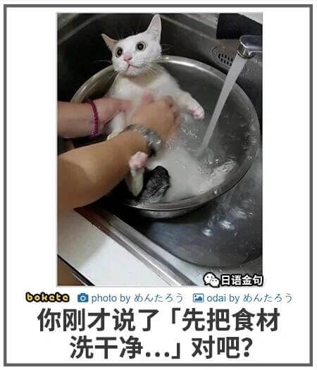 日语金句boketeaphotobybht3国odaibyb