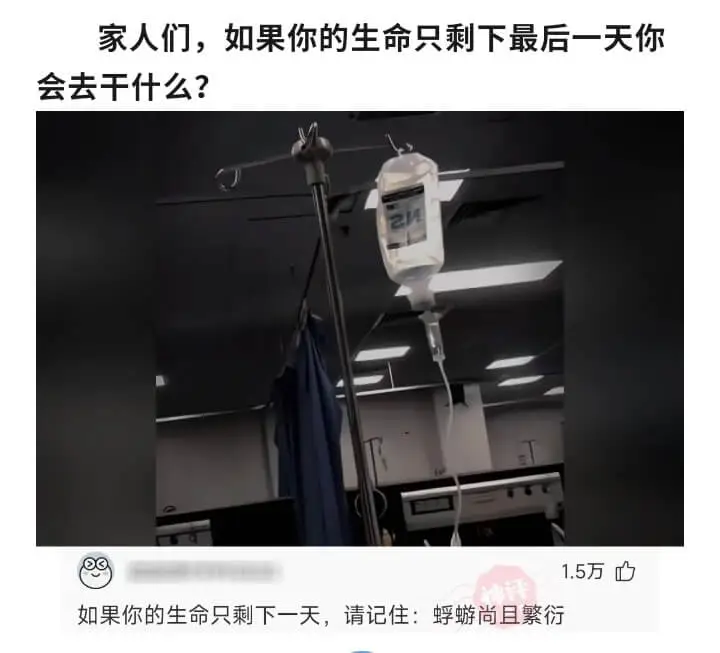 家人们，如果你的生命只剩下最后一天，你会去干什么？1.5万如