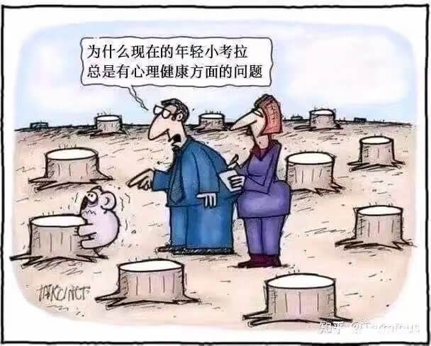为什么现在的年轻小考拉总是有心理健康方面的问题