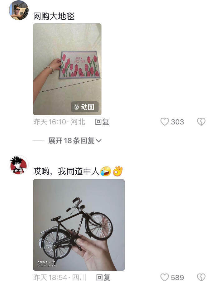 网购大地毯6002T动图昨天16:10·河北回复303展开1