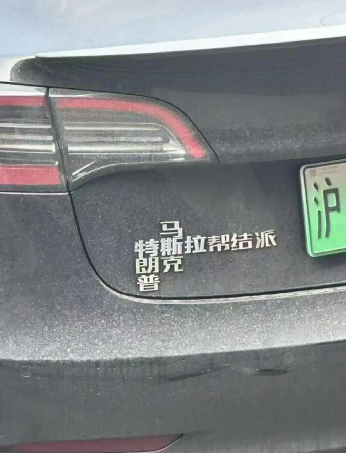 沪特斯拉帮结派