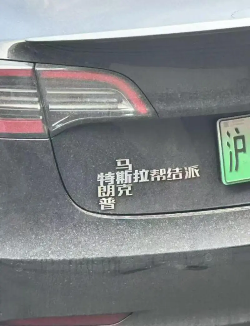 沪特斯拉帮结派