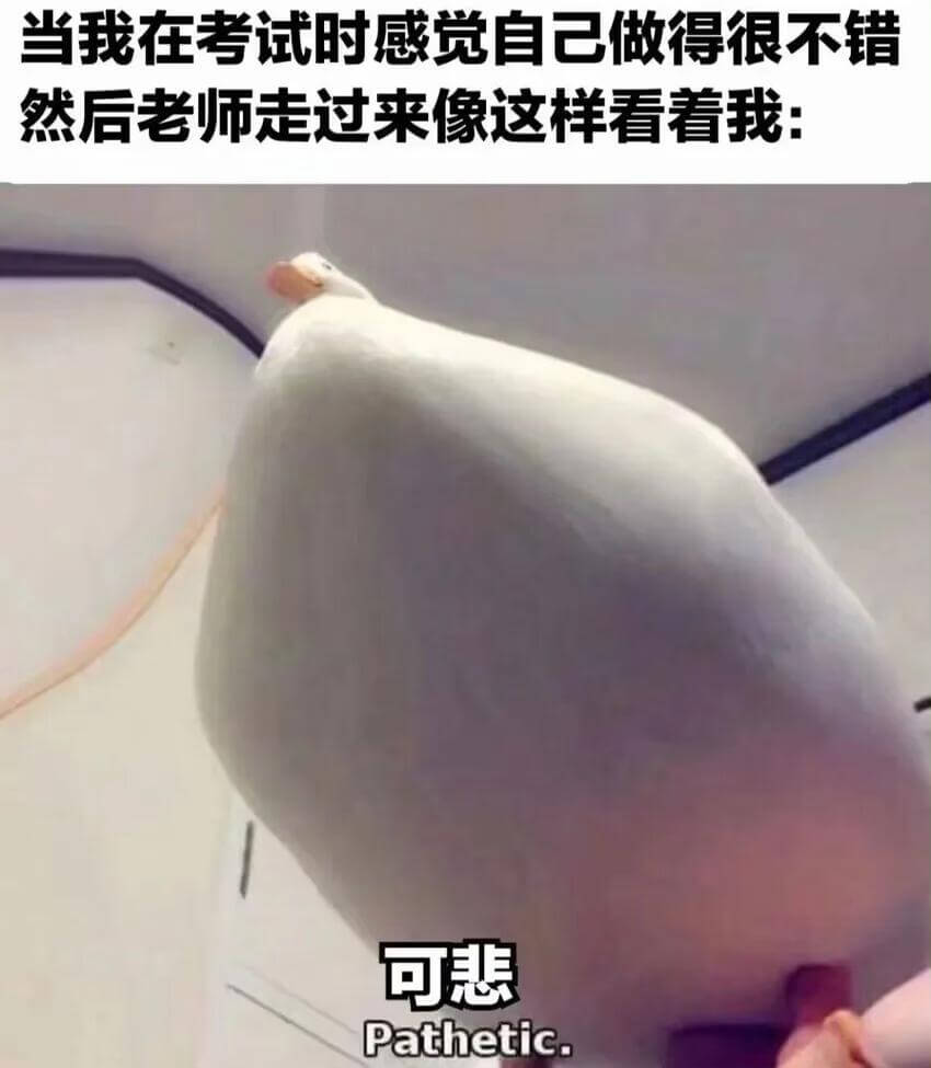 当我在考试时感觉自己做得很不错然后老师走过来像这样看看我：可
