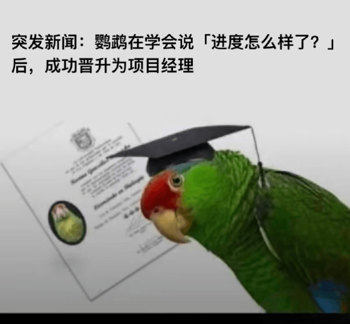 突发新闻：鹦鹉在学会说「进度怎么样了？」后，成功晋升为项目经