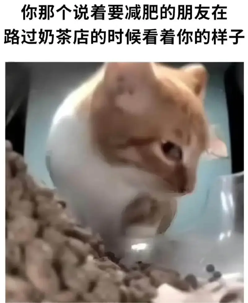 你那个说着要减肥的朋友在路过奶茶店的时候看着你的样子