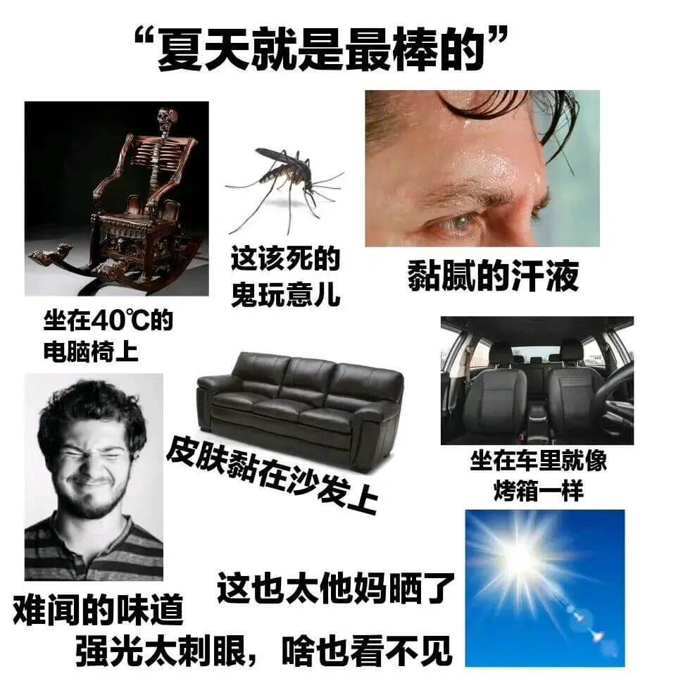 夏天就是最棒的这该死的黏腻的汗液鬼玩意儿坐在40℃的电脑椅上