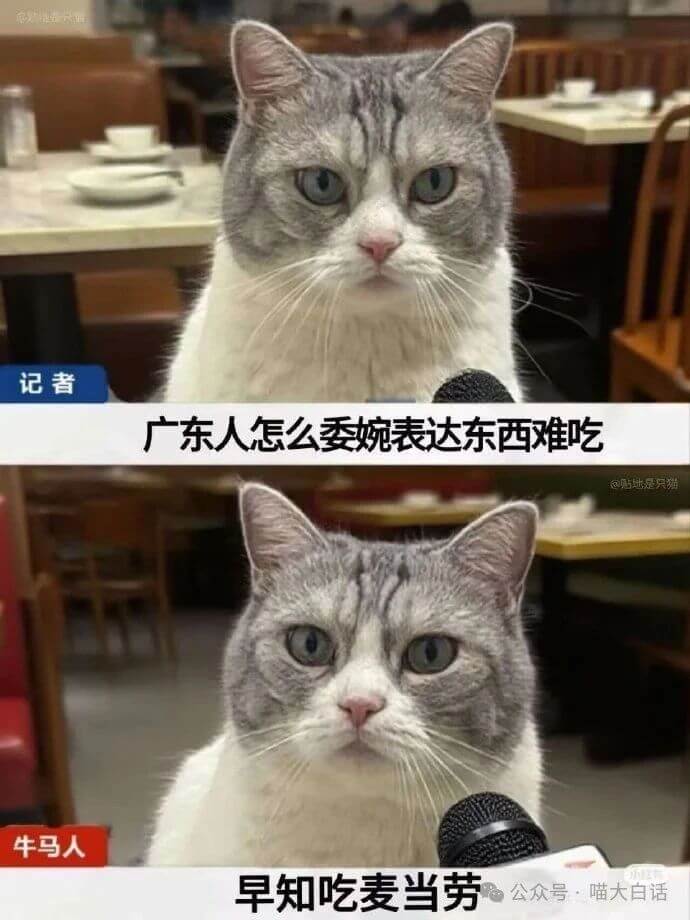 记者广东人怎么委婉表达东西难吃包贴是只猫牛马人早知吃麦当劳公