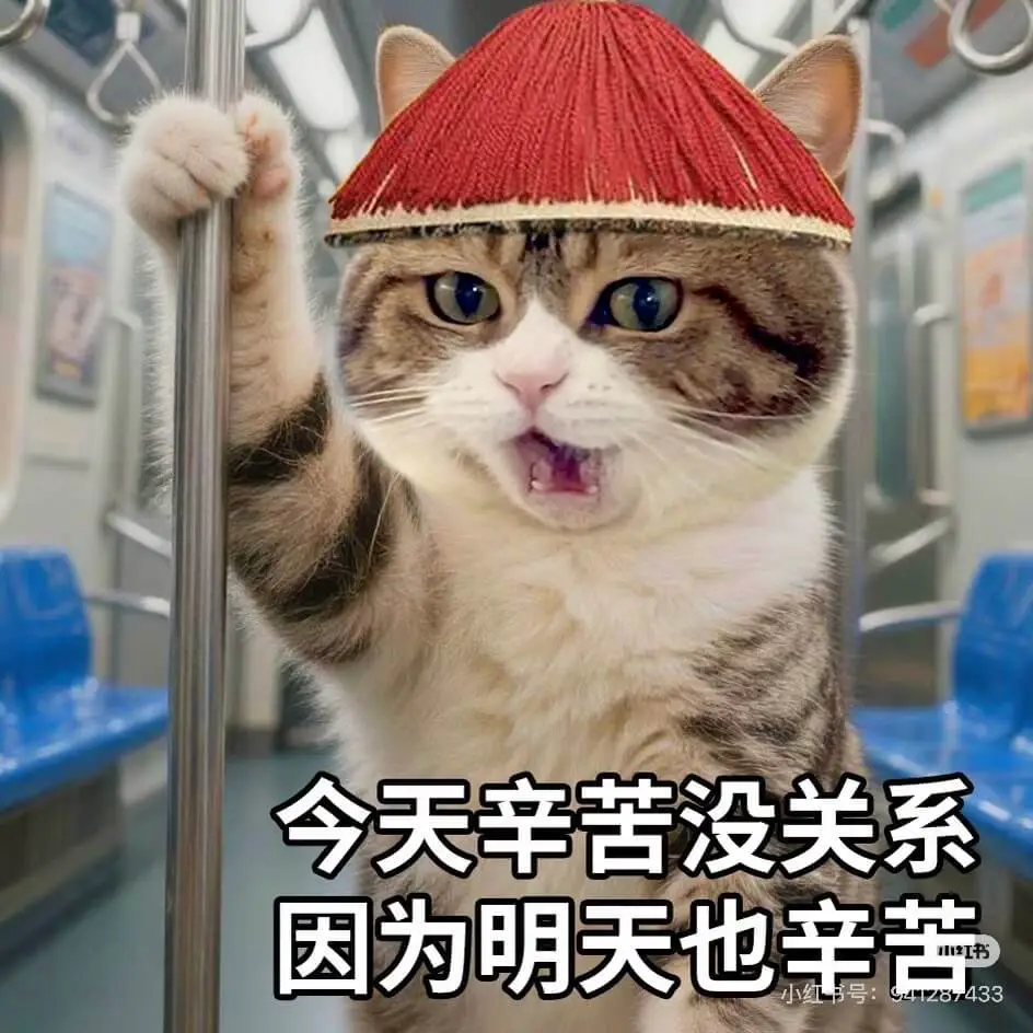 今天辛苦没关系，因为明天也辛苦。433