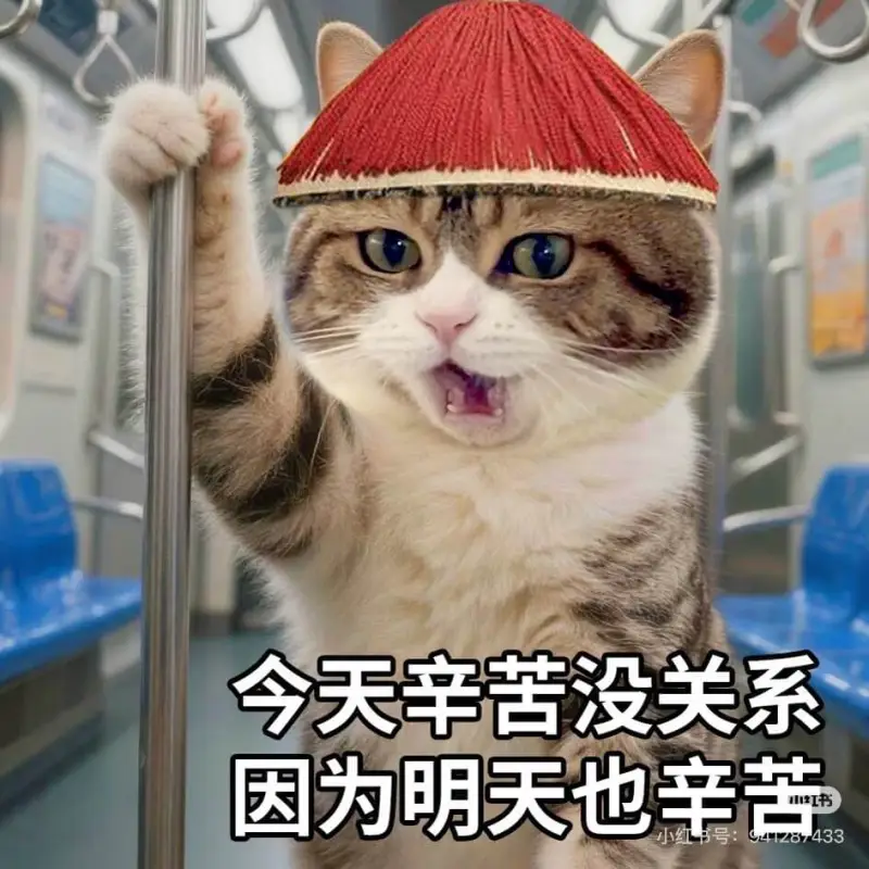今天辛苦没关系，因为明天也辛苦。433