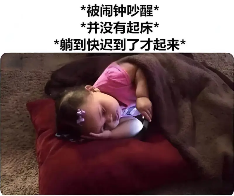 被闹钟吵醒，并没有起床，躺到快迟到了才起来。