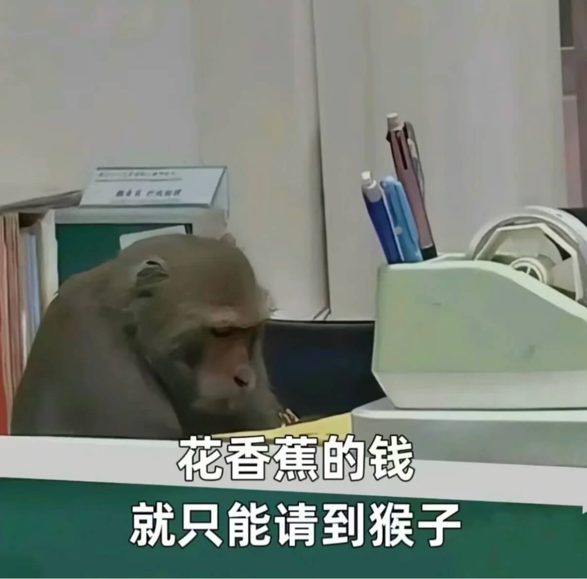 花香蕉的钱就只能请到猴子