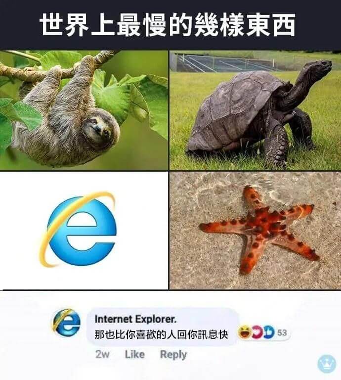 世界上最慢的东西InternetExplorer.那也比你喜