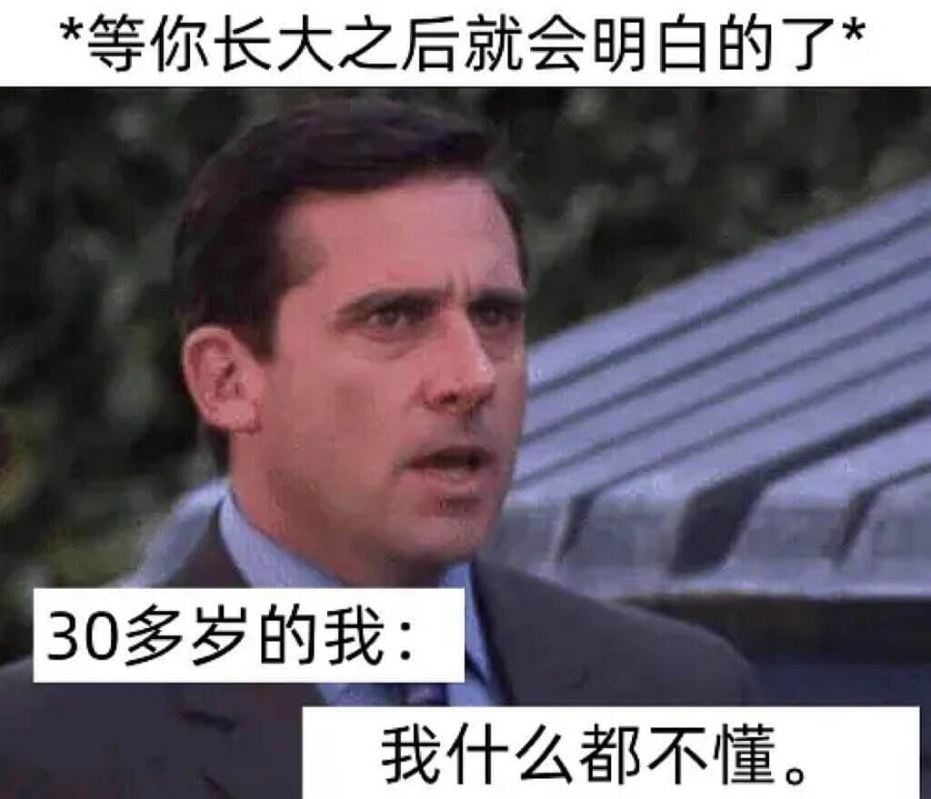 *等你长大之后就会明白的了*30多岁的我：我什么都不懂。
