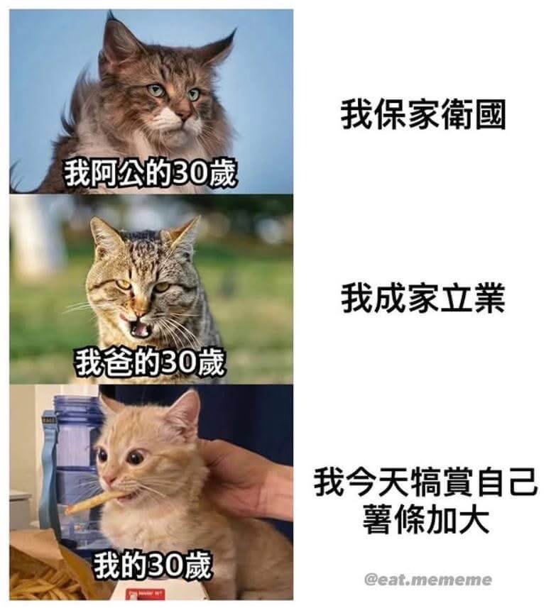 我保家衛國我阿公的30葳我成家立業我爸的30藏我今天搞實自己