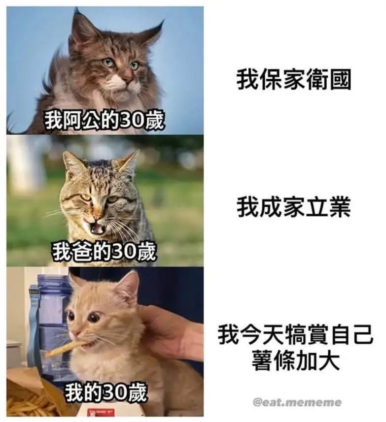 我保家衛國我阿公的30葳我成家立業我爸的30藏我今天搞實自己
